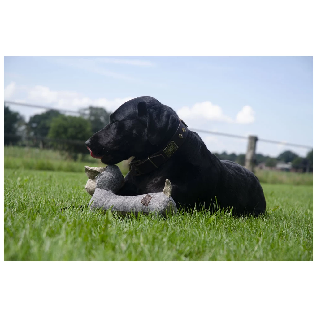 Country Dog Original Oliver - 3
