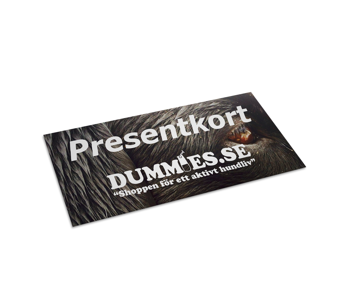 Presentkort 1000kr