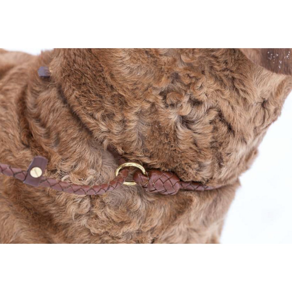 Leather by Beth Retrieverkoppel i veg.garvat buffelskinn, Cognac - 8