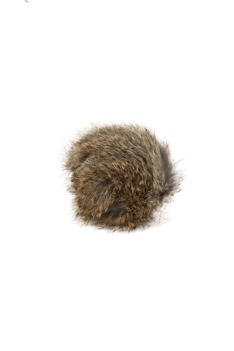 Pälsboll