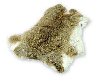 Kaninskinn