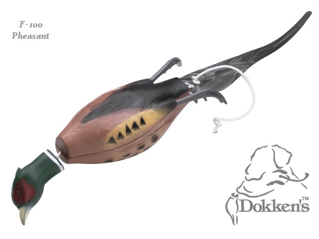 Dokken´s dummy,  Fasan