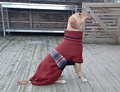 Hundtäcken/Neoprenvästar