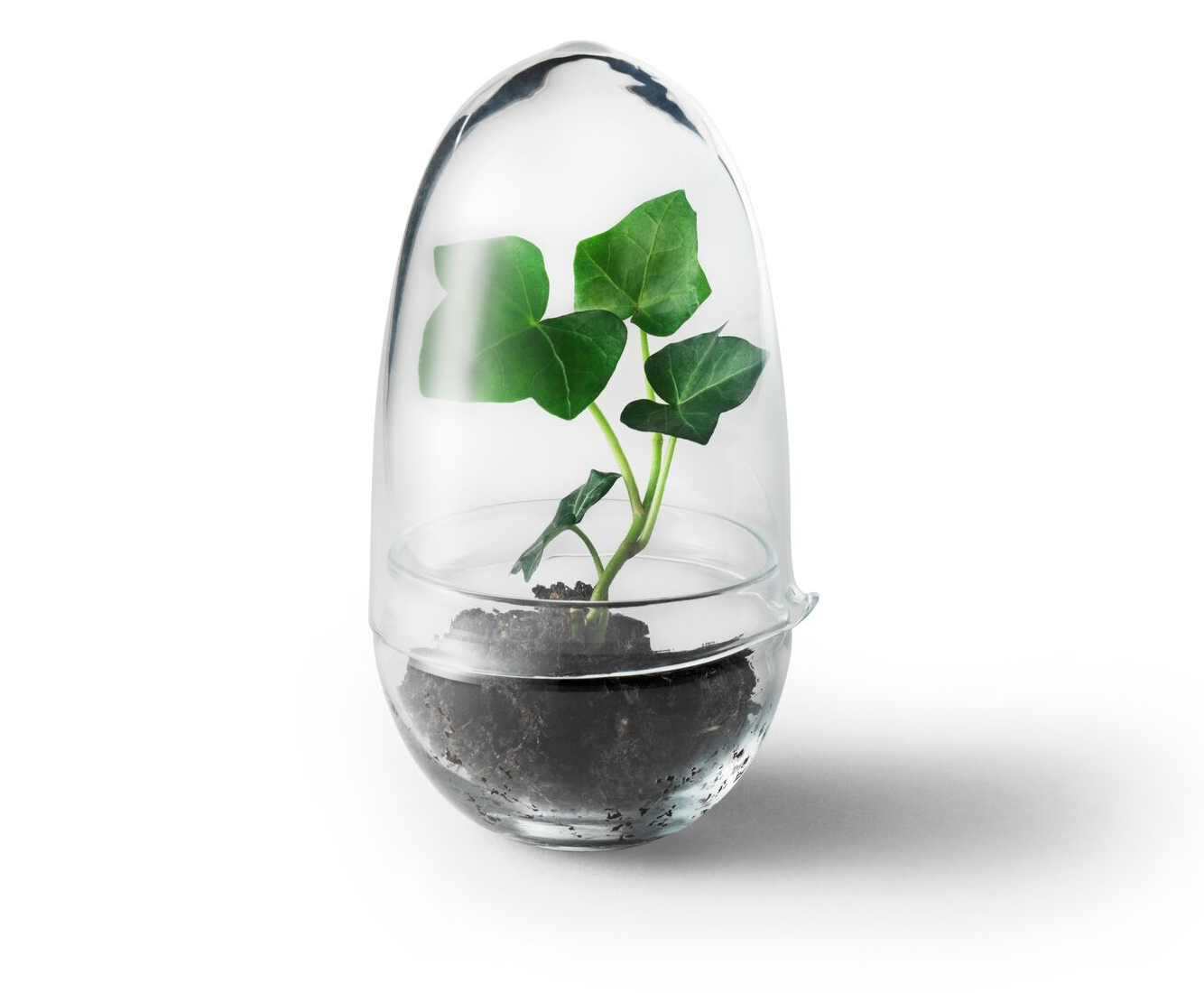Grow Odlingskupa (Small)