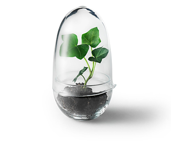Grow Odlingskupa (Small)