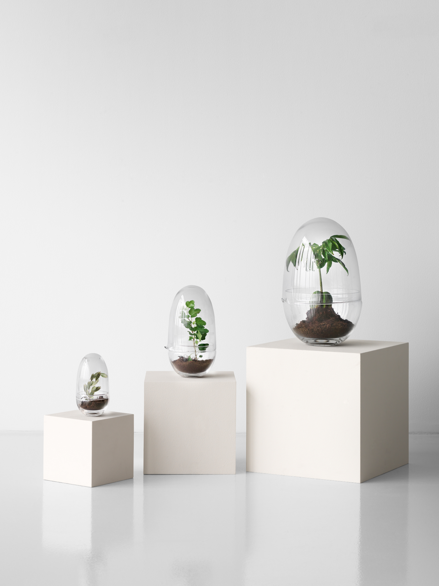Grow Odlingskupa (Small) - 3