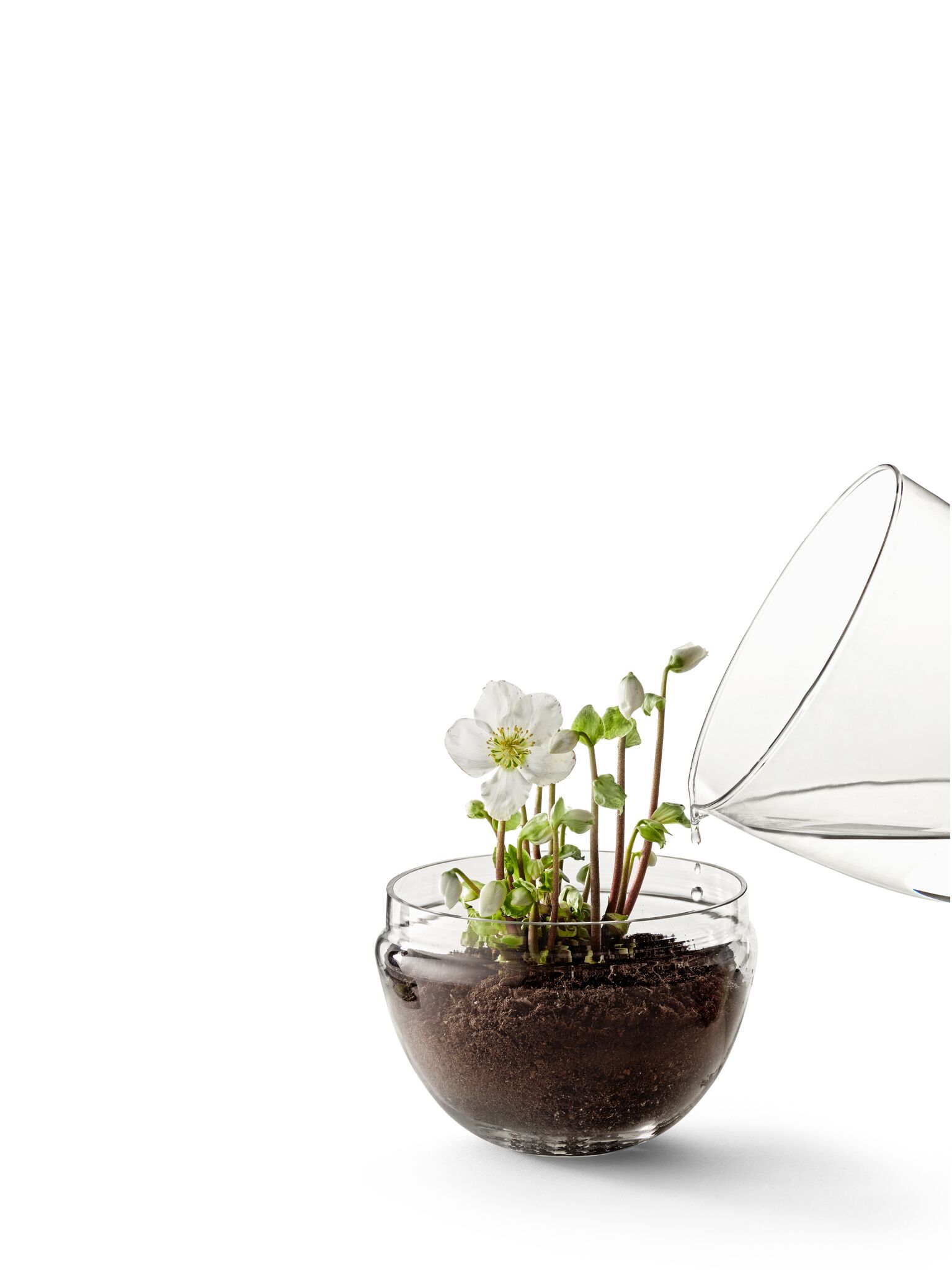 Grow Odlingskupa (X-Large) - 10