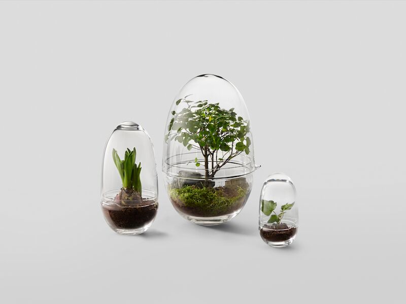 Grow Odlingskupa (X-Large) - 5