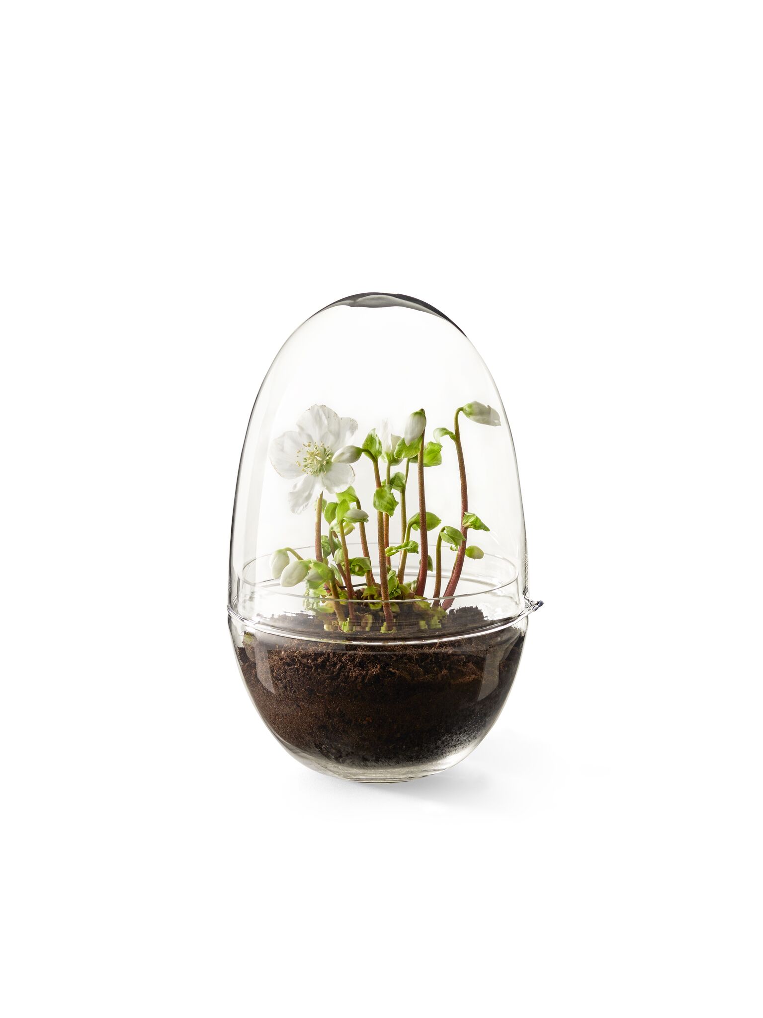 Grow Odlingskupa (X-Large) - 8