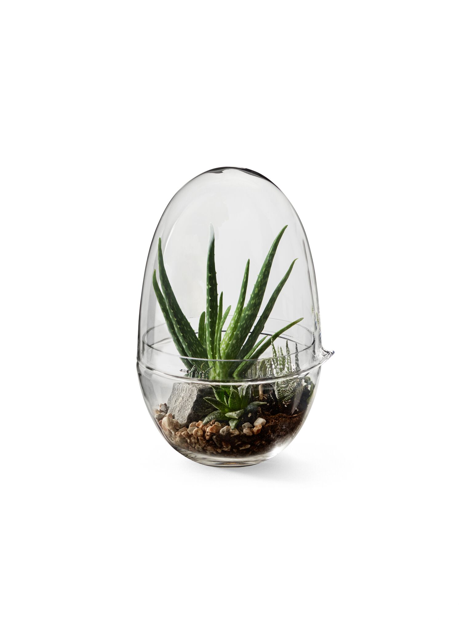 Grow Odlingskupa (X-Large) - 7