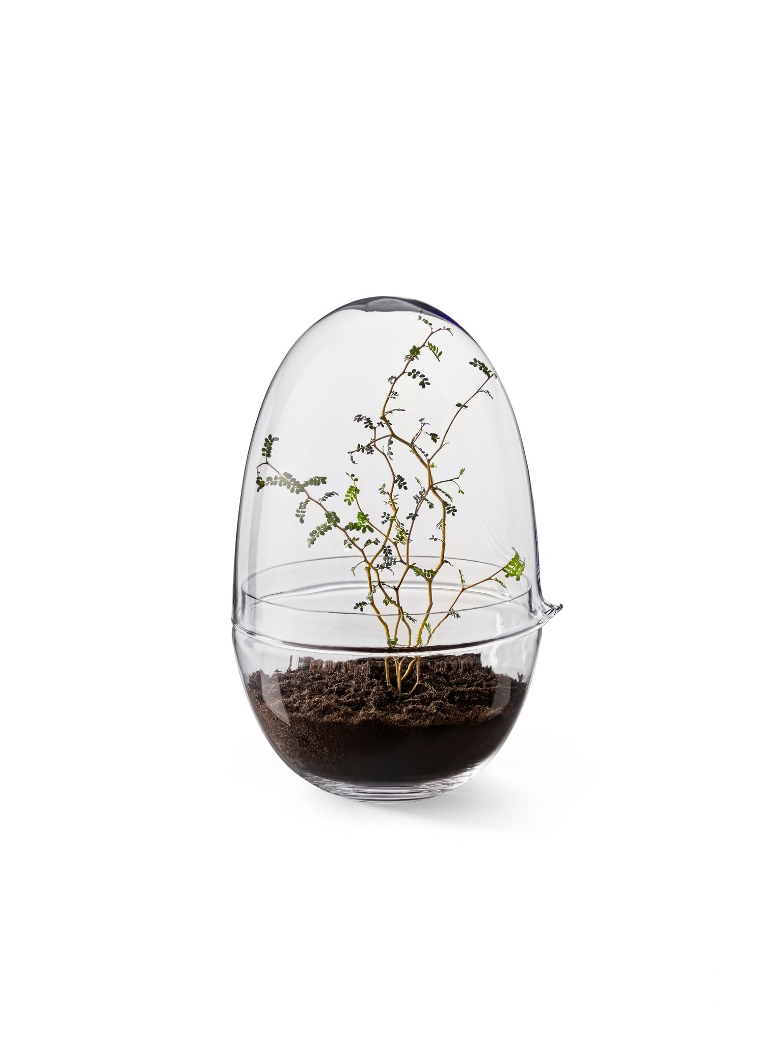 Grow Odlingskupa (X-Large) - 9