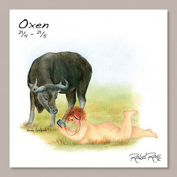 Rakel Rask Vykort - Stjärntecken - Oxen