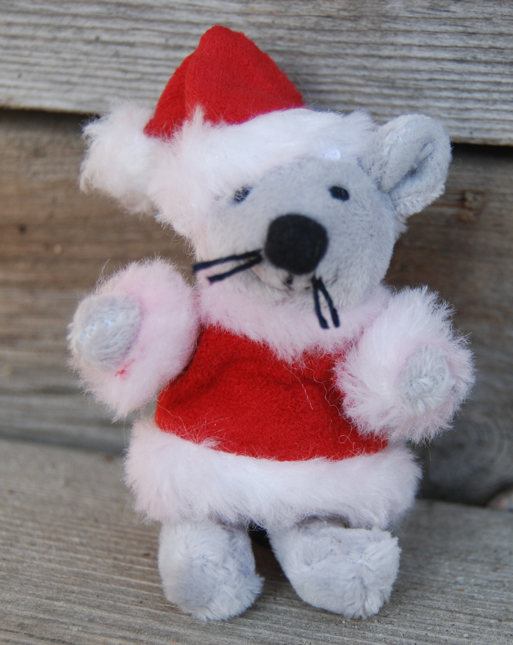 Tomte Mus