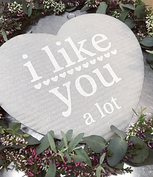 Disktrasa - Hjärta - I like you a lot