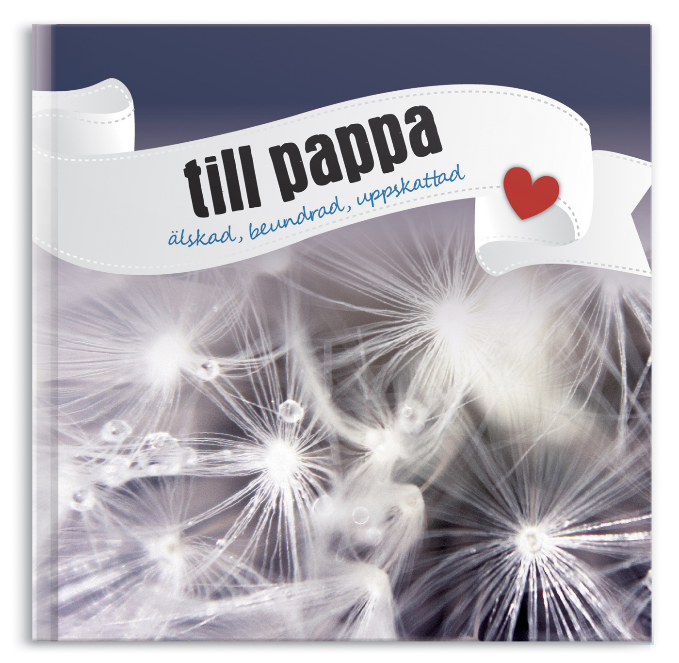Presentbok - Till pappa
