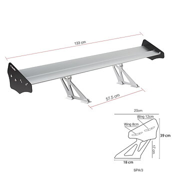 Vinge Fast Wing