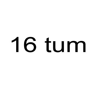 16 Tum