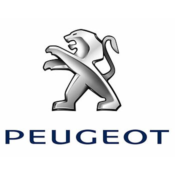 Peugeot Rallyfälgar