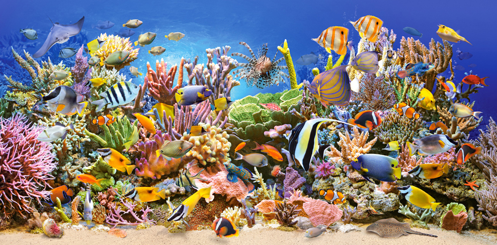 Underwater Life 4000 Bitar Castorland