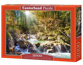 The Forest Stream 2000 Bitar Castorland