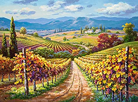 Vineyard Hill 3000 Bitar Castorland