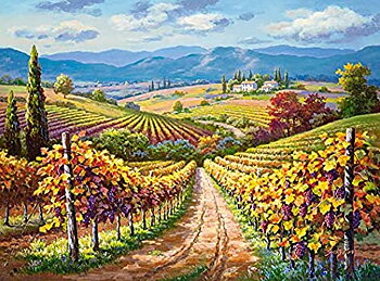 Vineyard Hill 3000 Bitar Castorland