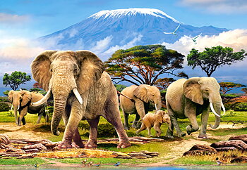 Kilimanjaro Morning 1000 Bitar Castorland