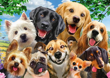 Dog Selfie 500 Bitar Schmidt