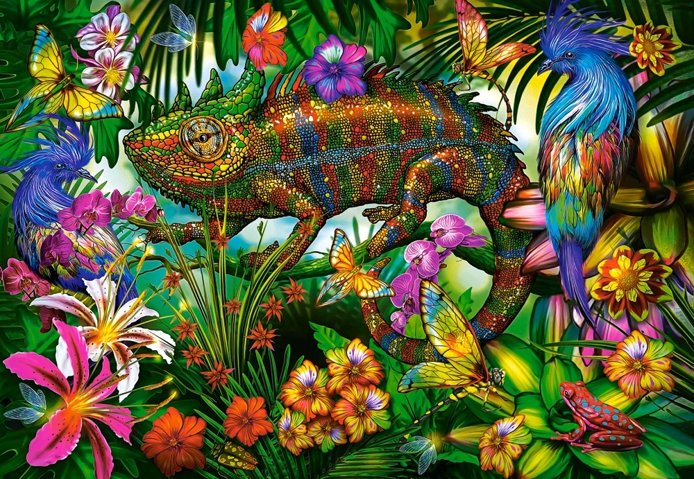 Color Competition, 1500 Bitar Castorland