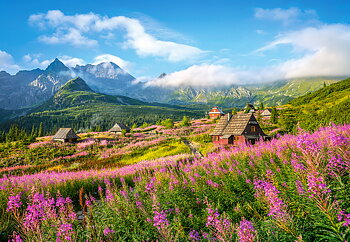 Hala Gasienicowa, Tatras, Poland 1000 Bitar Castorland