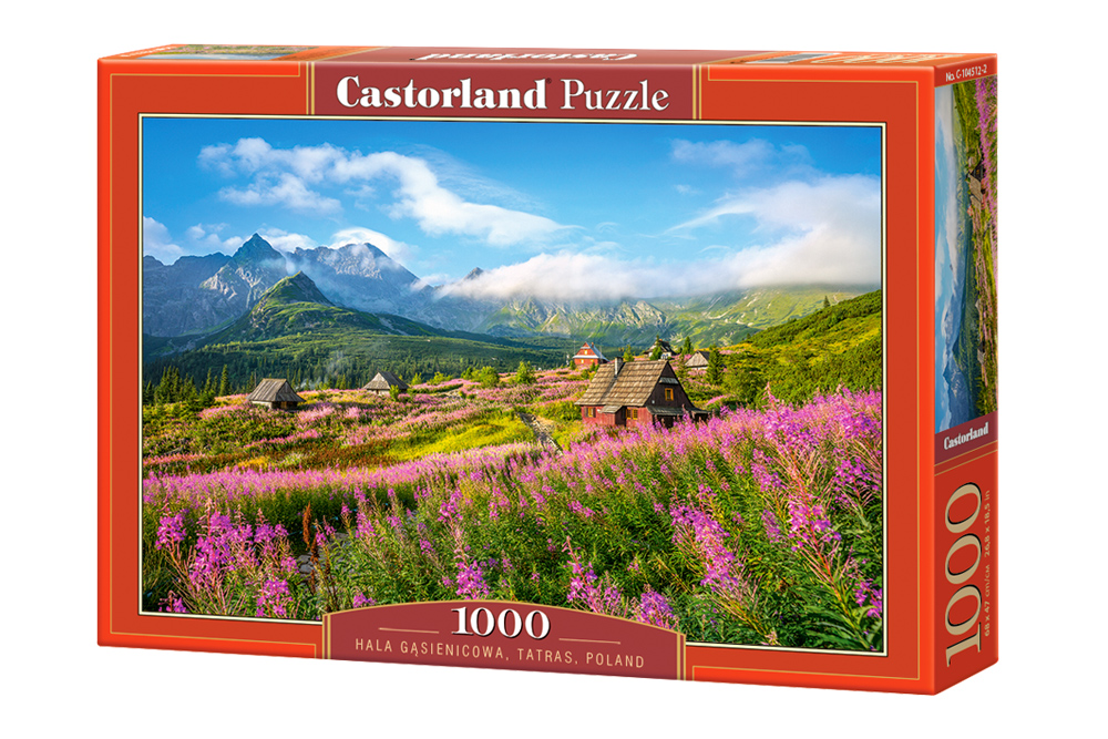 Hala Gasienicowa, Tatras, Poland 1000 Bitar Castorland - 2