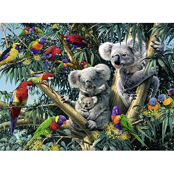 Koalas in a Tree  500 Bitar Ravensburger