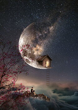 Whispered dream 1000 Bitar Schmidt