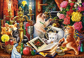 Wizard Kittens 1000 Bitar Castorland