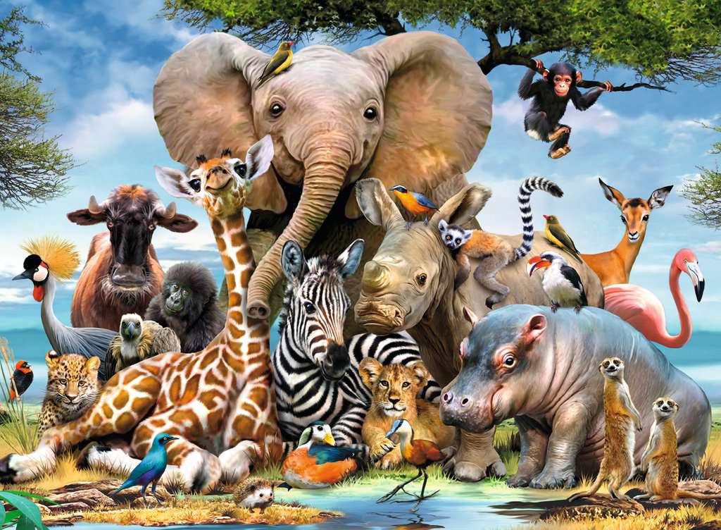 African Friends 300 XXL Bitar Ravensburger