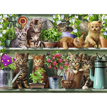 Cats on the Shelf  500 Bitar Ravensburger