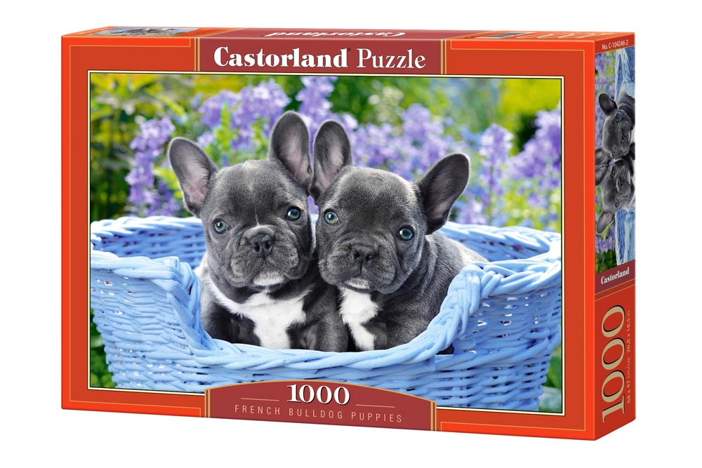 French Bulldog Puppies 1000 Bitar Castorland  - 2