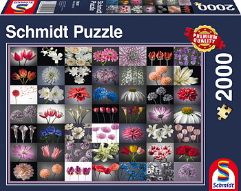Floral Greeting 2000 Bitar Schmidt