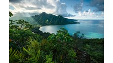 Hawaiian Viewpoint 5000 Bitar Ravensburger