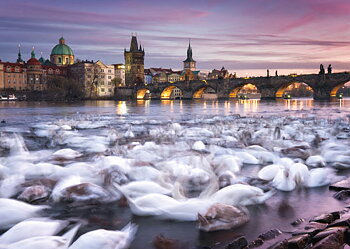 Prague Swans 1000 Bitar Schmidt