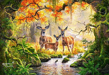 Royal Family  1000 Bitar Castorland
