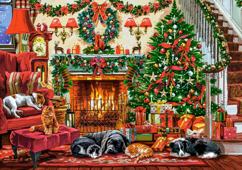 Cozy Fireplace, 500 Bitar Castorland