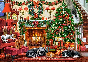 Cozy Fireplace, 500 Bitar Castorland