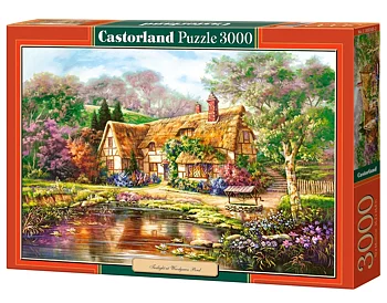 Twilight at Woodgreen Pond 3000 Bitar Castorland