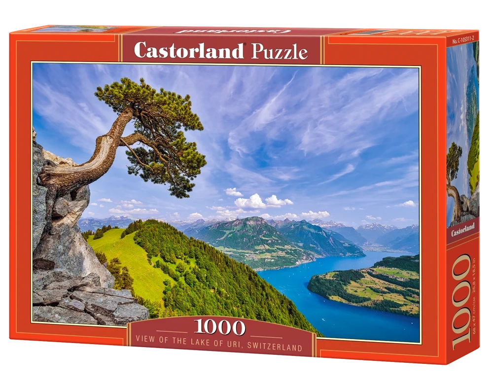 View of the Lake of Uri, Switzerland, 1000 Bitar Castorland - 2