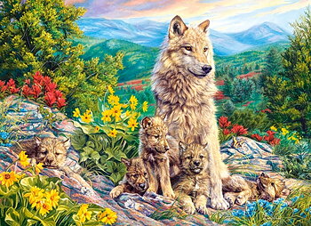 New Generation 1000 Bitar Castorland 