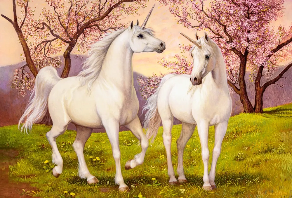 Unicorn Love, 1000 Bitar Castorland