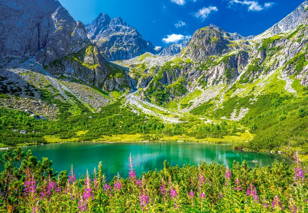 Zelene Pleso, Tatias, Slovakia, 1000 Bitar Castorland