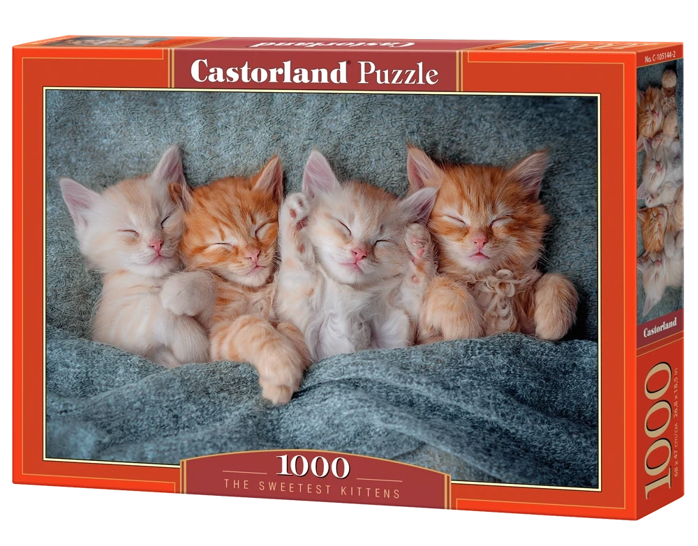 The Sweetest Kittens, 1000 Bitar Castorland - 2