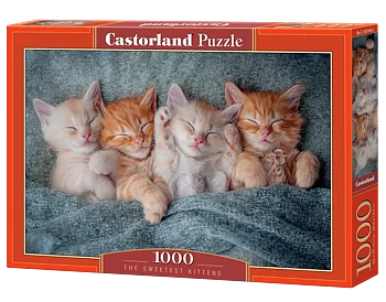The Sweetest Kittens, 1000 Bitar Castorland